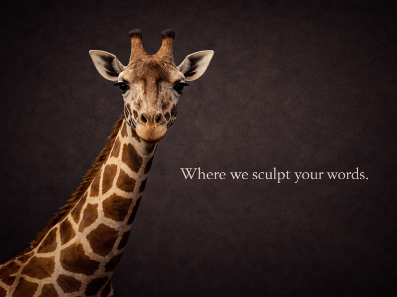 Gentle-gaze-of-a-giraffe-1200x900